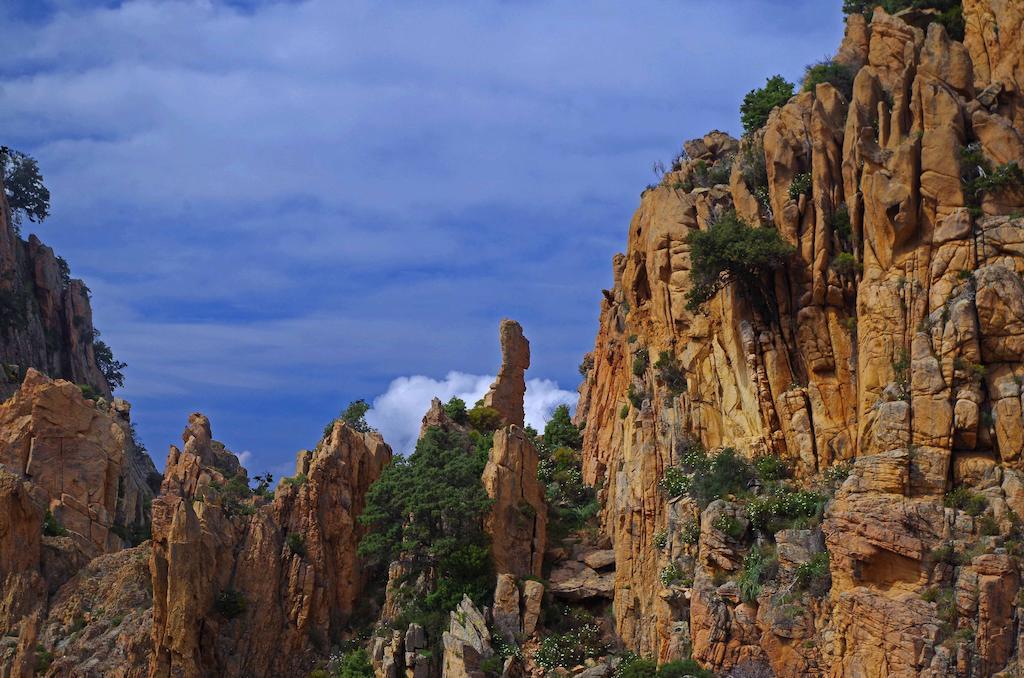 Brise De Mer Porto (Corsica) Exterior foto