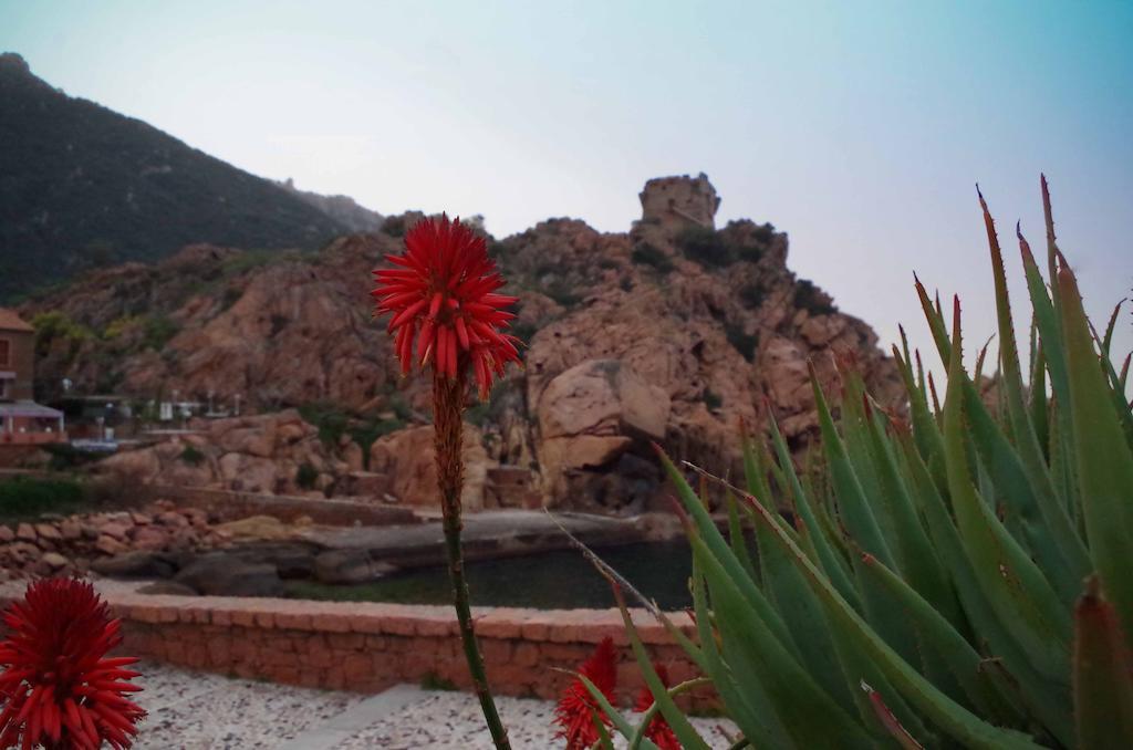 Brise De Mer Porto (Corsica) Exterior foto